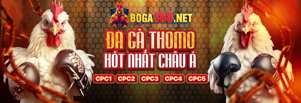 Chiến lược cá cược World Cup hiệu quả